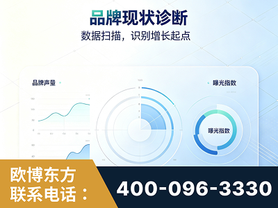 尚志-品牌现状诊断