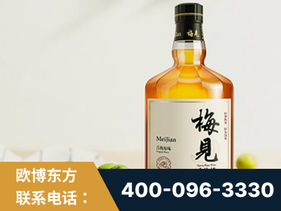尚志-梅见青梅酒